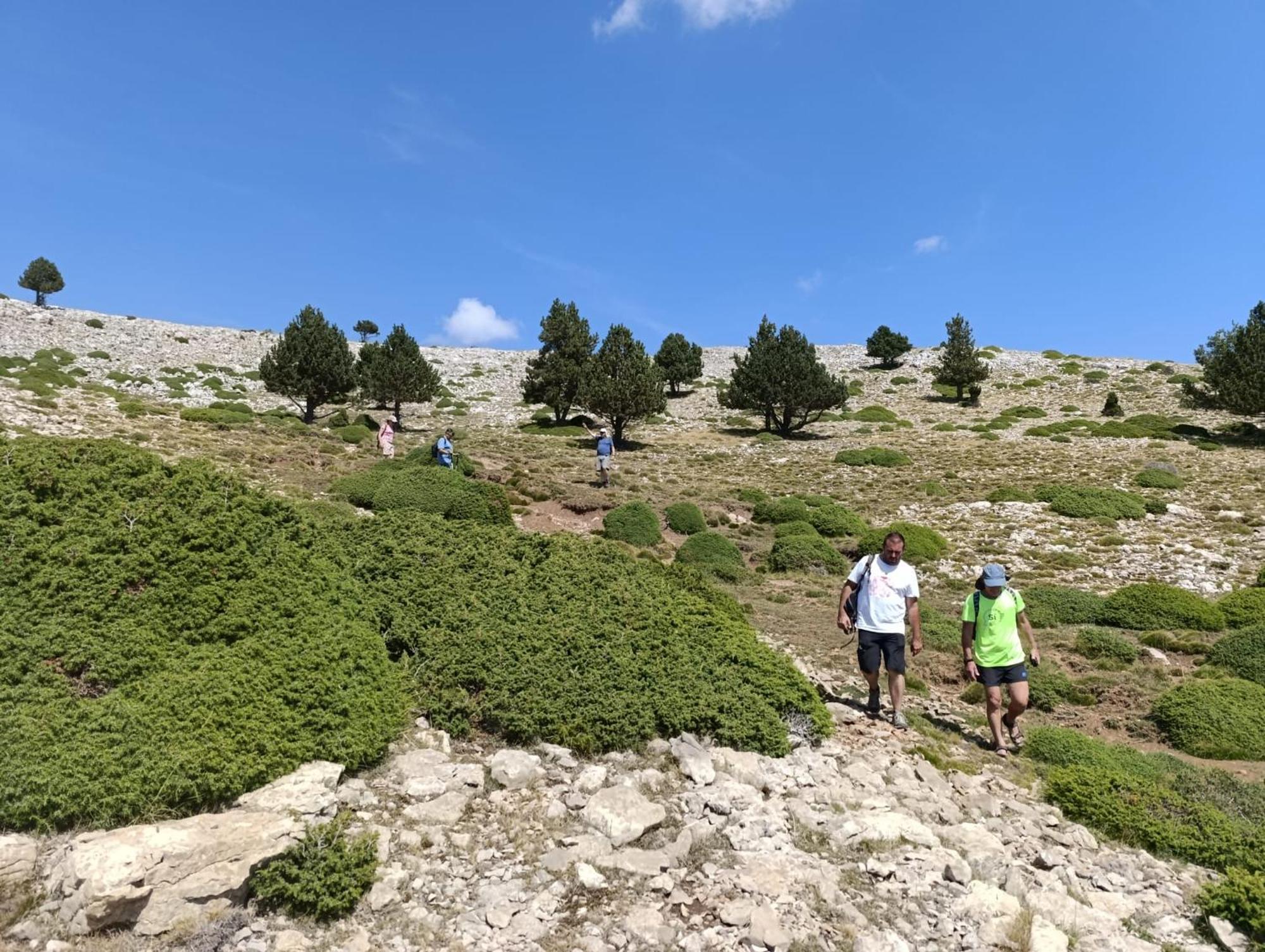 Coll de Nargó Dinosaur House 아파트 외부 사진